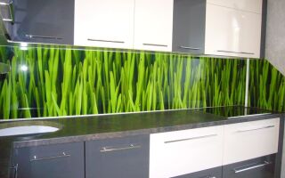 Стеновая панель на кухне